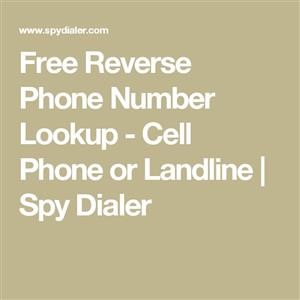 Spy Mouse Game Iphone